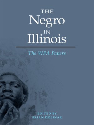 cover image of The Negro in Illinois